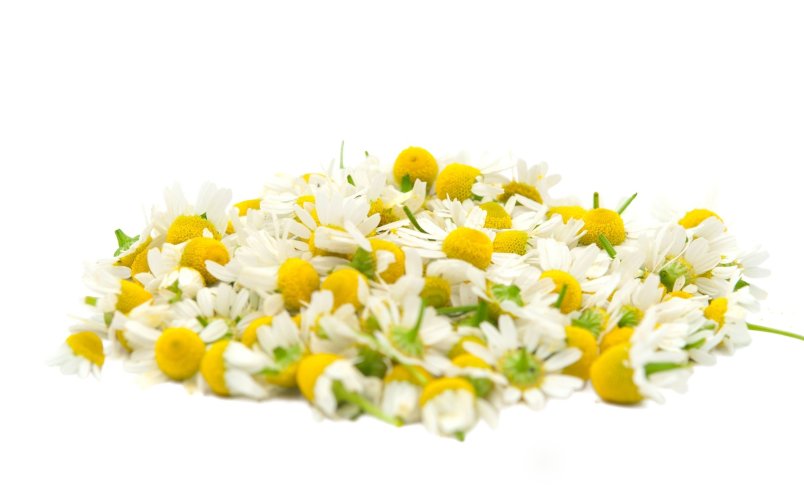 Эфирное масло Ромашки    